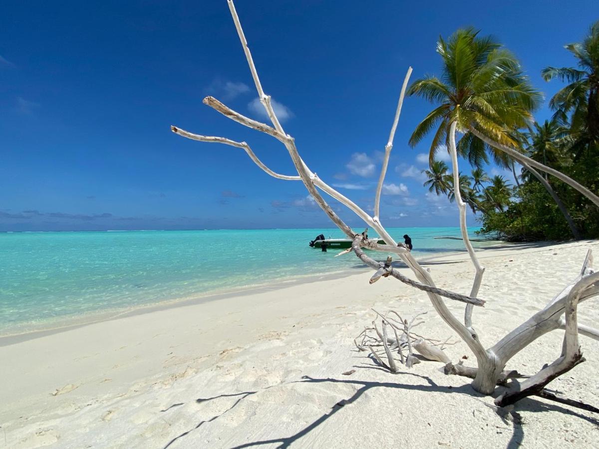 פלידהו Alimas Holiday Retreat Maldives מראה חיצוני תמונה