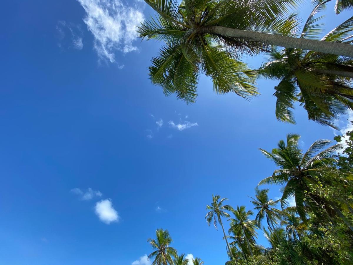 פלידהו Alimas Holiday Retreat Maldives מראה חיצוני תמונה