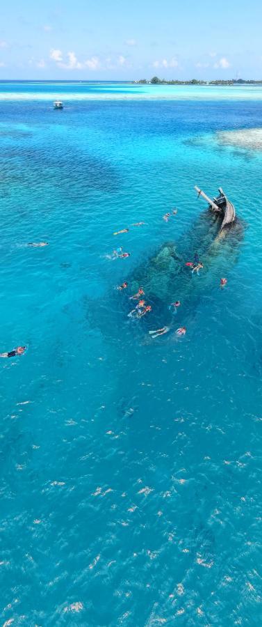 פלידהו Alimas Holiday Retreat Maldives מראה חיצוני תמונה