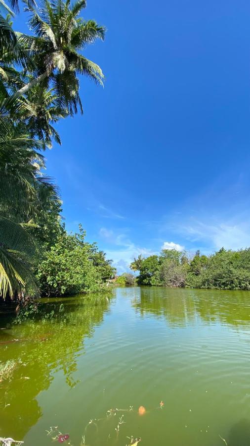 פלידהו Alimas Holiday Retreat Maldives מראה חיצוני תמונה