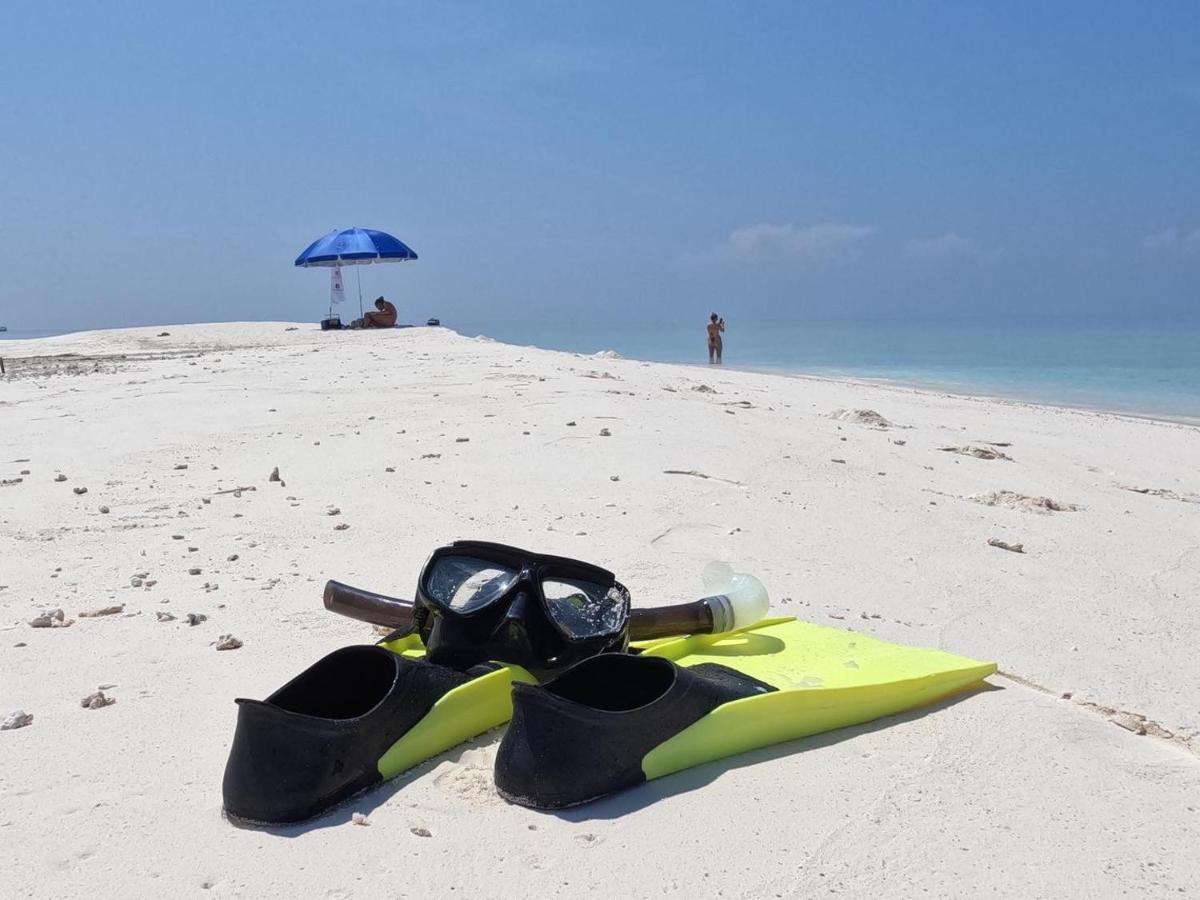 פלידהו Alimas Holiday Retreat Maldives מראה חיצוני תמונה
