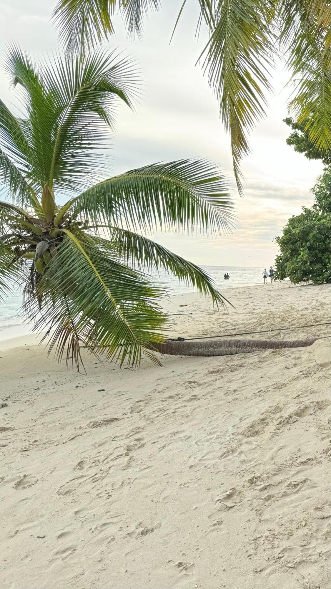 פלידהו Alimas Holiday Retreat Maldives מראה חיצוני תמונה